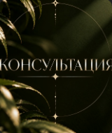 Консультация с мастером